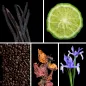 Preview: Duftnoten: Vanille, Bergamotte, Kaffee, Patschuli, Iris Preview: Duftnoten: Vanille, Bergamotte, Kaffee, Patschuli, Iris